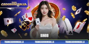 Bin88