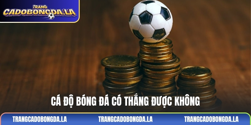 Cá độ bóng đá có thắng được không