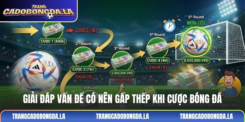 Giải đáp vấn đề có nên gấp thếp khi cược bóng đá