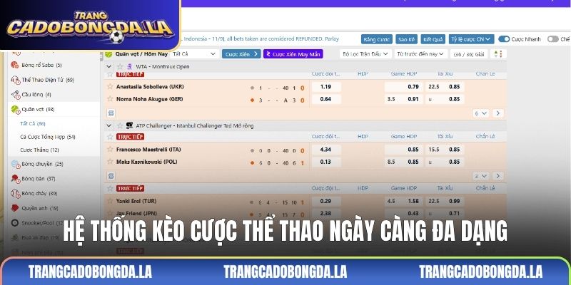 Hệ thống kèo cược thể thao ngày càng đa dạng