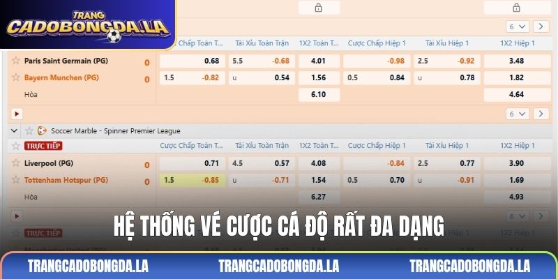 Hệ thống vé cược cá độ rất đa dạng
