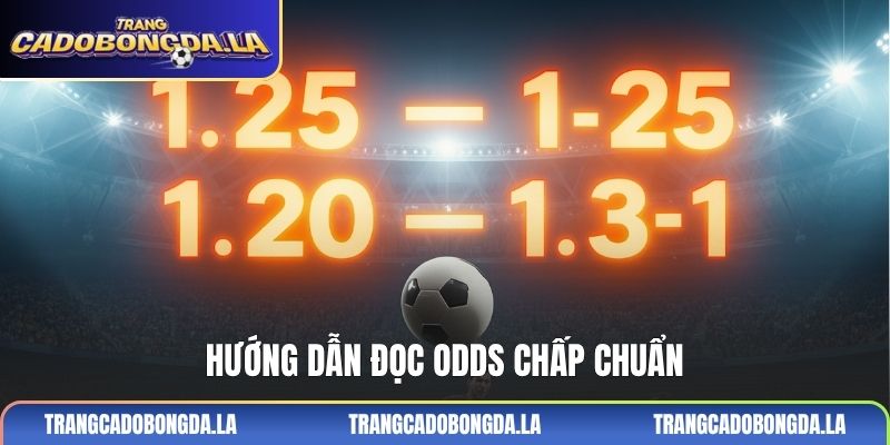 Hướng dẫn đọc odds chấp chuẩn