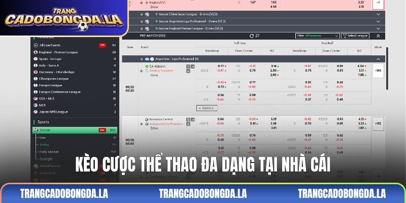 Kèo cược thể thao đa dạng tại nhà cái