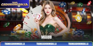 MAX88