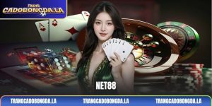 Net88