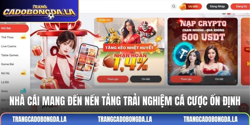 Nhà cái mang đến nền tảng trải nghiệm cá cược ổn định
