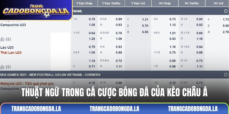 Thuật ngữ trong cá cược bóng đá của kèo Châu Á