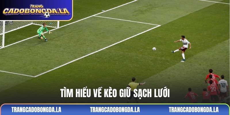 Tìm hiểu về kèo giữ sạch lưới