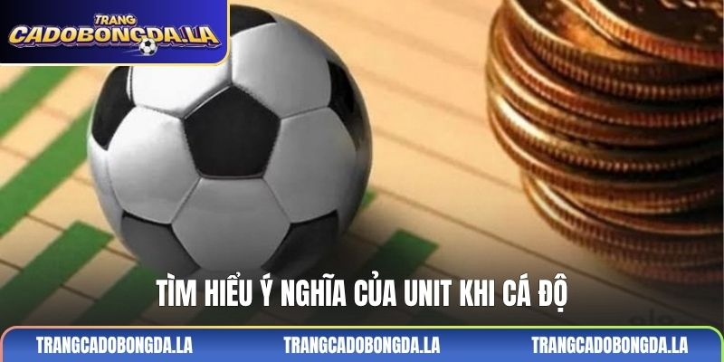 Tìm hiểu ý nghĩa của unit khi cá độ