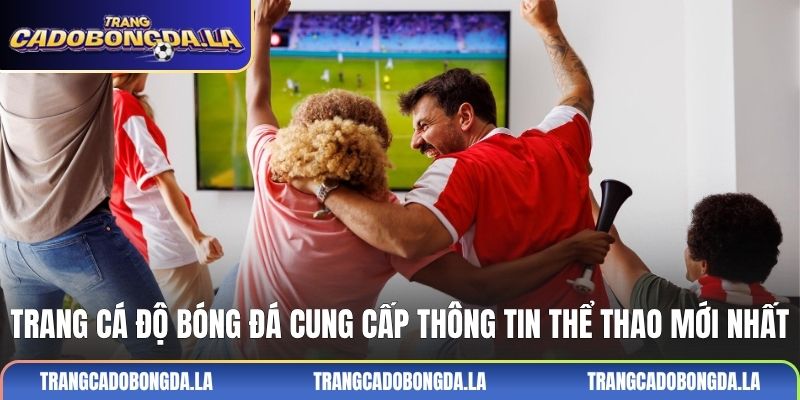Trang cá độ bóng đá cung cấp thông tin thể thao mới nhất